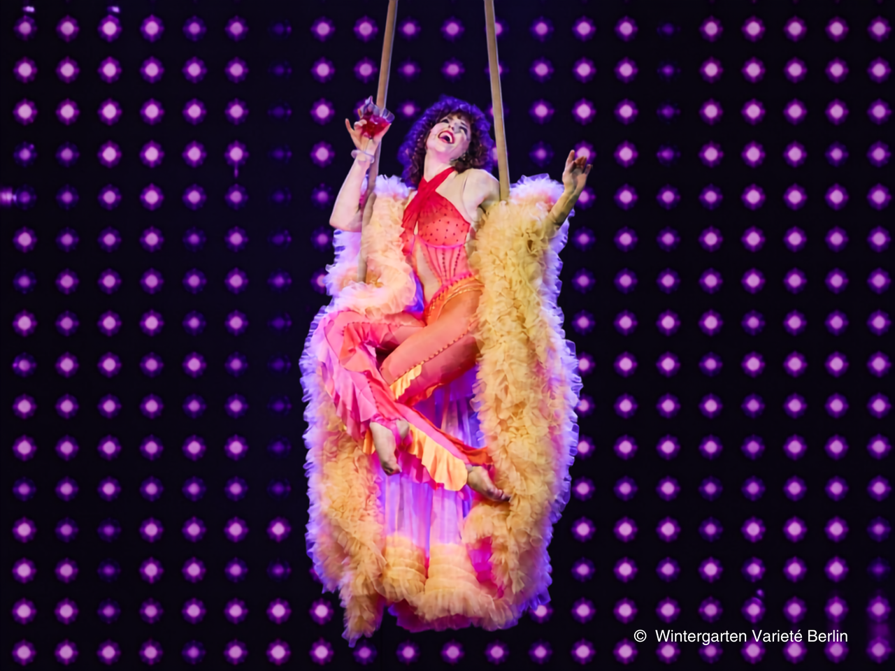 DISCO – Acrobatics * Dinner * Dance