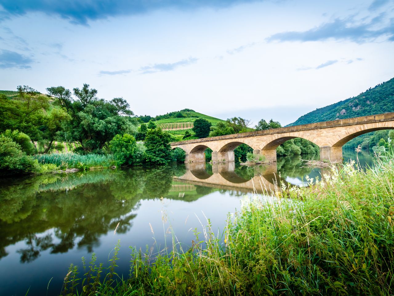 RS41054 AdobeStock 88466449