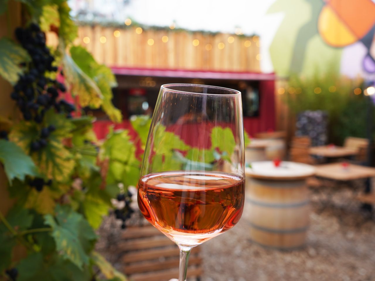 Roséwein