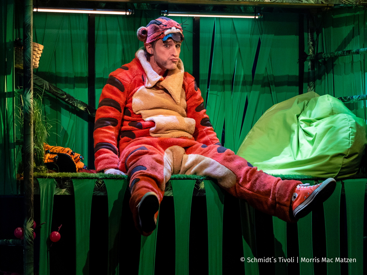 Der achtsame Tiger - Morris Mac Matzen