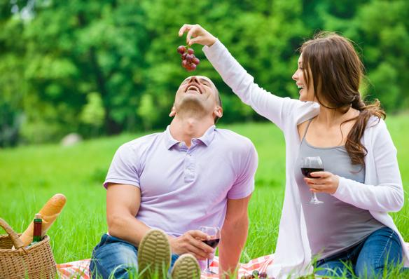 vorschaubild was das picknick so romantisch macht