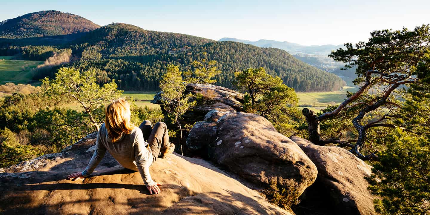 vorschaubild die besten wanderwege in der pfalz