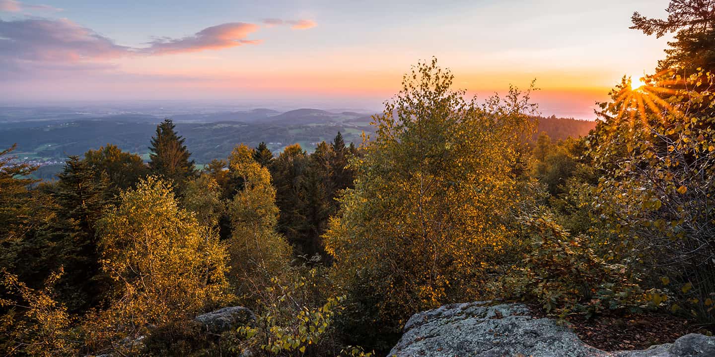 vorschaubild die besten spa-oasen und wellnesshotels im bayerischen wald