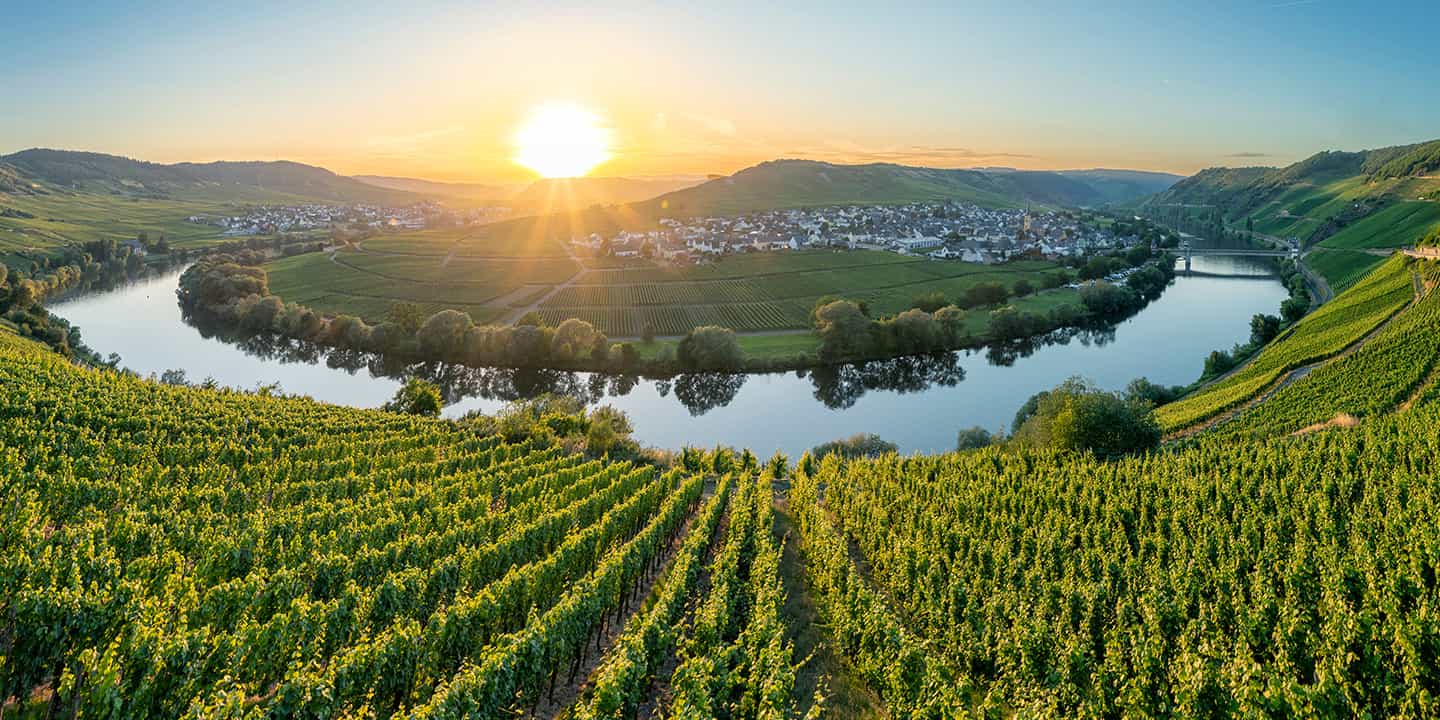 vorschaubild faszination mosel - mehr als nur wein
