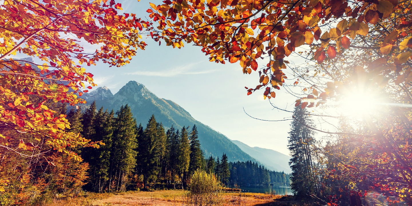 vorschaubild ranking: deutschlands herbstlichste bundesländer 2025