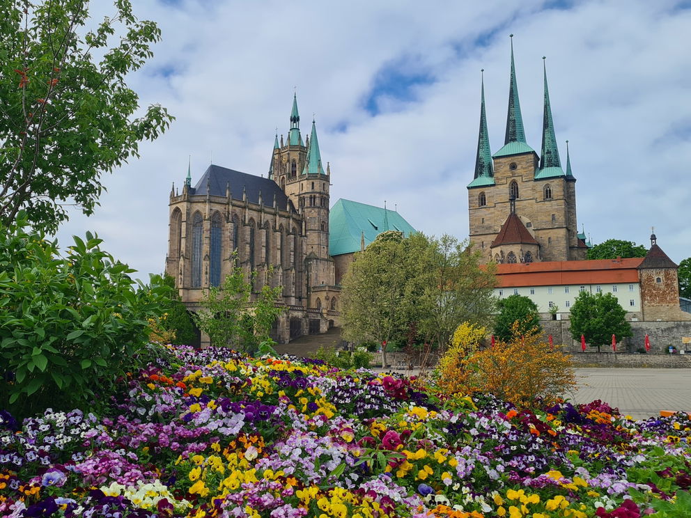 Erfurt Kompakt